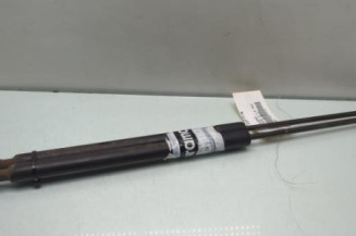 Verin de coffre CITROEN C3 PICASSO