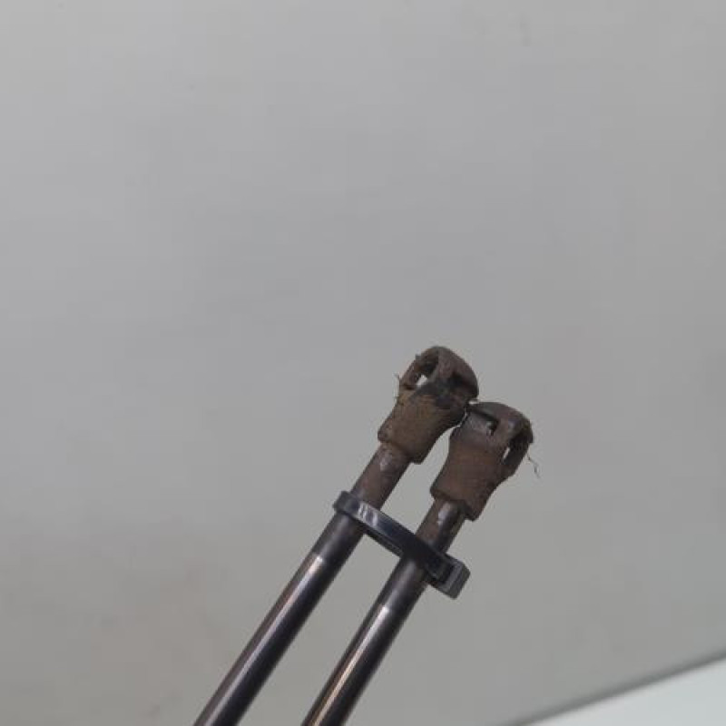 Verin de coffre CITROEN C3 PICASSO Photo n°3