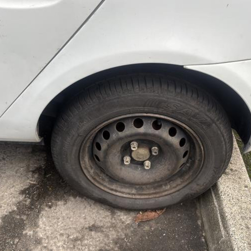 Malle/Hayon arriere RENAULT CLIO 2 Photo n°18