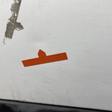 Porte arriere gauche RENAULT CLIO 2