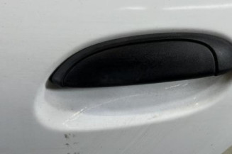 Porte arriere gauche RENAULT CLIO 2