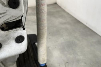 Porte arriere gauche RENAULT CLIO 2