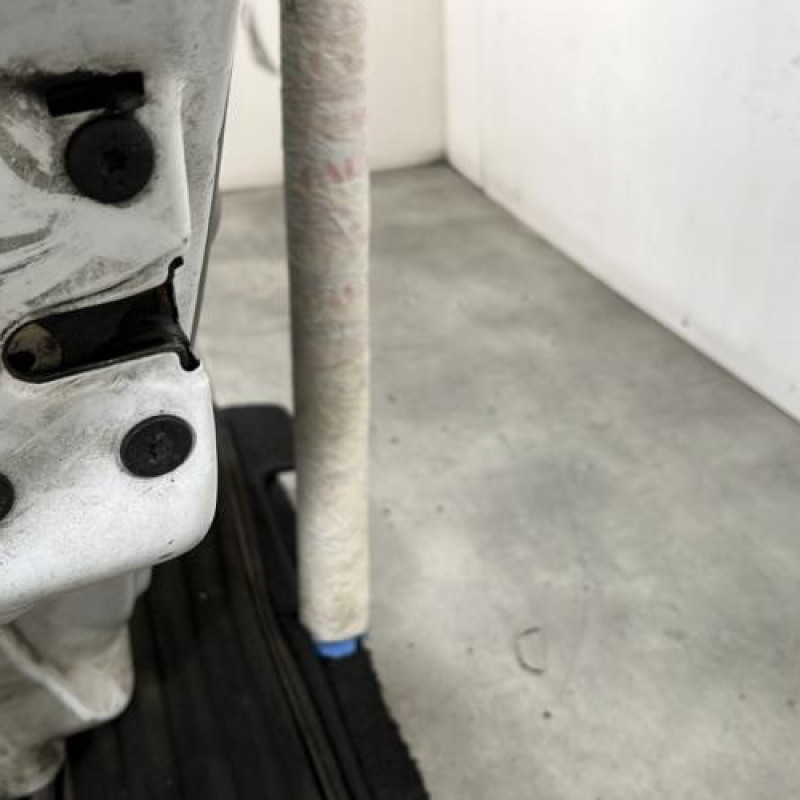 Porte arriere gauche RENAULT CLIO 2 Photo n°5