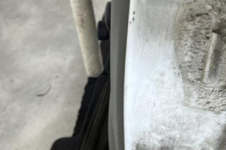 Porte arriere gauche RENAULT CLIO 2