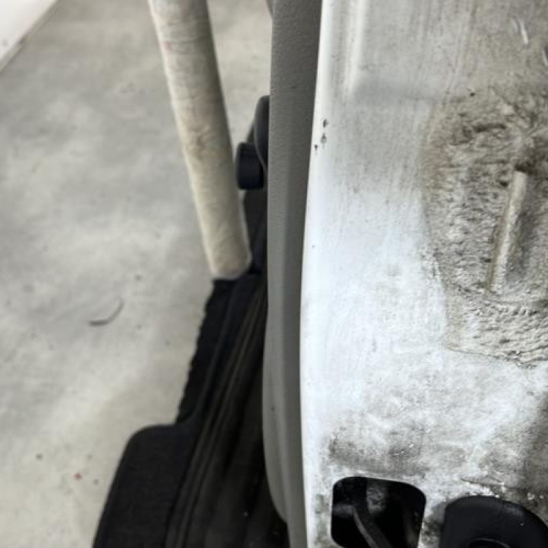 Porte arriere gauche RENAULT CLIO 2 Photo n°6