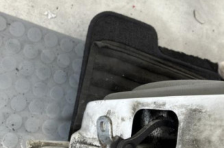 Porte arriere gauche RENAULT CLIO 2