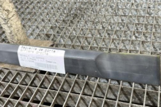 Baguette de porte arriere droite RENAULT CLIO 3