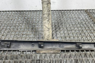 Baguette de porte arriere droite RENAULT CLIO 3