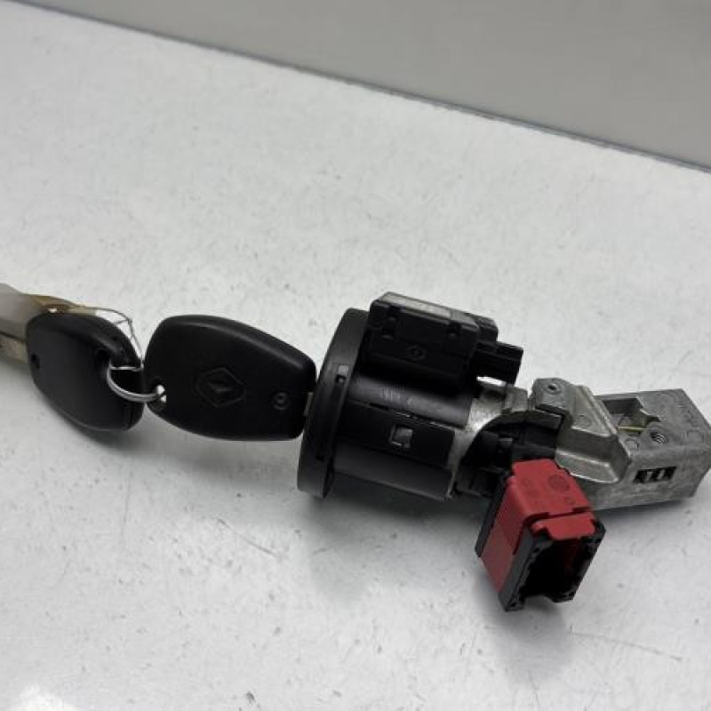 Neiman RENAULT CLIO 3 Photo n°7