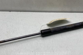 Verin de capot RENAULT CLIO 4 Photo n°1