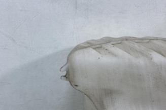 Vase de lave glace RENAULT MASTER 3