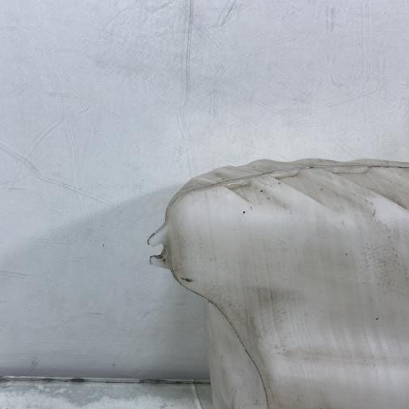 Vase de lave glace RENAULT MASTER 3 Photo n°3