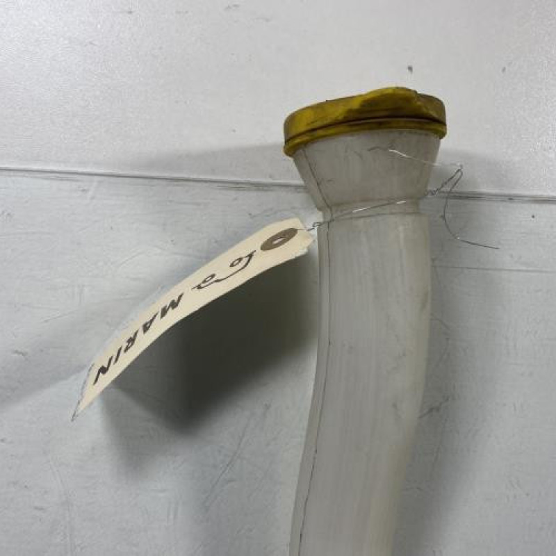 Vase de lave glace RENAULT MASTER 3 Photo n°4