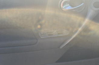 Porte arriere droit RENAULT MEGANE 2