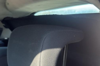 Porte arriere droit RENAULT MEGANE 2