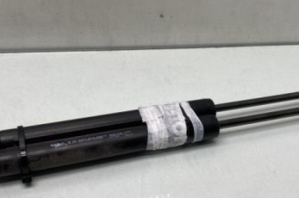 Verin de coffre PEUGEOT 2008 1 Photo n°1