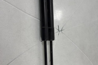 Verin de lunette arriere PEUGEOT 207 Photo n°1