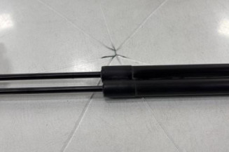 Verin de lunette arriere PEUGEOT 207