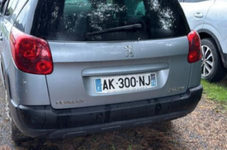 Verin de lunette arriere PEUGEOT 207