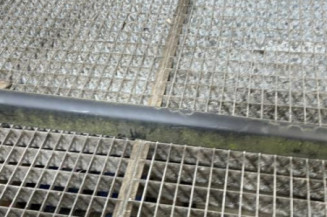 Baguette de porte avant droite PEUGEOT 207