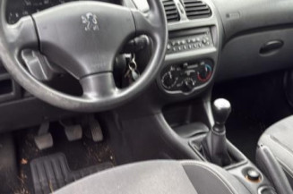 Vase de lave glace PEUGEOT 206