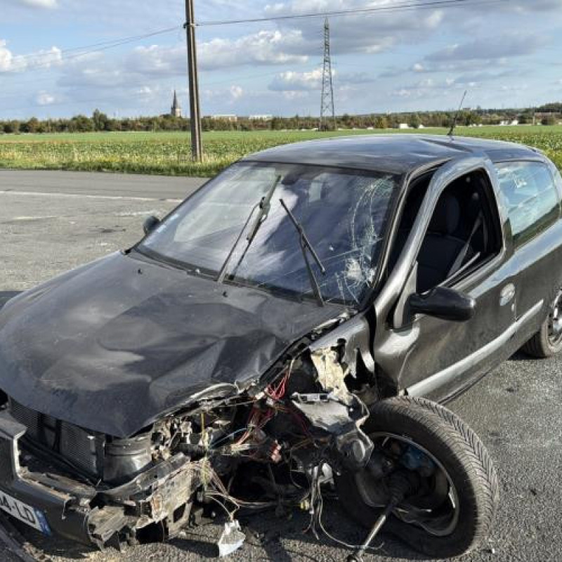 Neiman RENAULT CLIO 2 Photo n°5