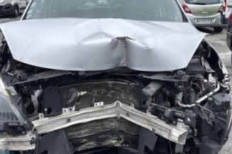 Poignee porte arriere gauche RENAULT SCENIC 3