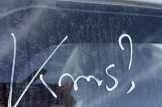 Retroviseur gauche RENAULT TWINGO 2