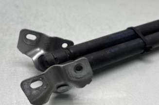 Verin de coffre RENAULT CAPTUR 1