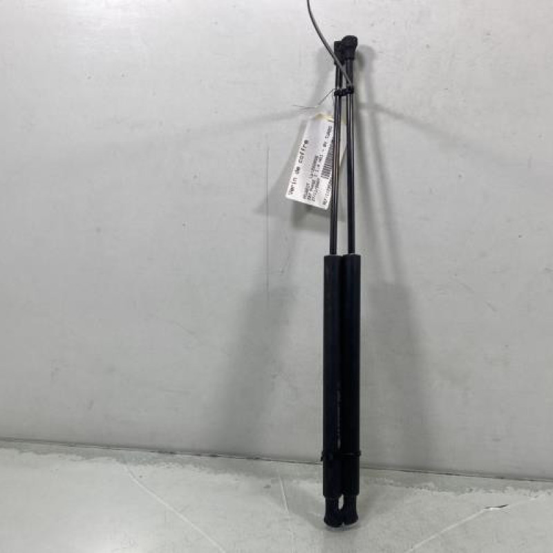 Verin de coffre PEUGEOT 207 Photo n°1