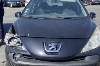 Verin de coffre PEUGEOT 207