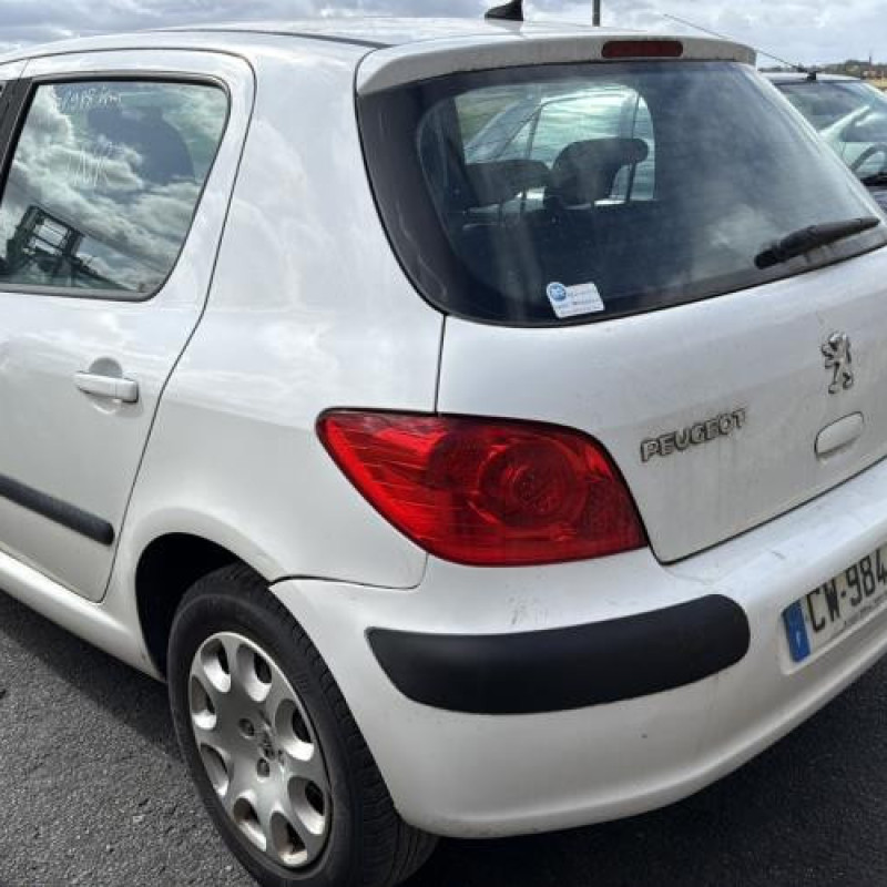 Repetiteur clignotant avant droit  (Feux) PEUGEOT 307 Photo n°7