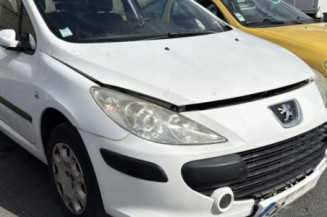 Retroviseur droit PEUGEOT 307