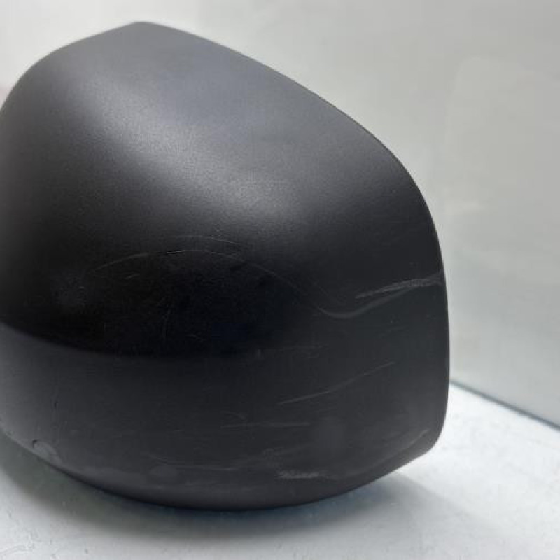 Retroviseur gauche DACIA LOGAN MCV 1 Photo n°7