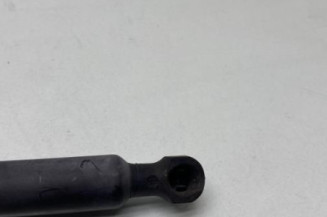 Verin de capot RENAULT CLIO 4