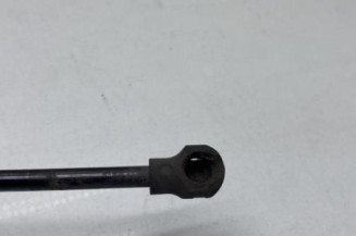 Verin de capot RENAULT CLIO 4