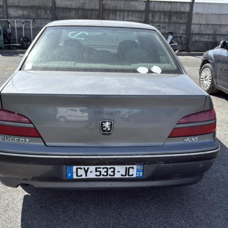 Feu arriere principal gauche (feux) PEUGEOT 406 Photo n°8