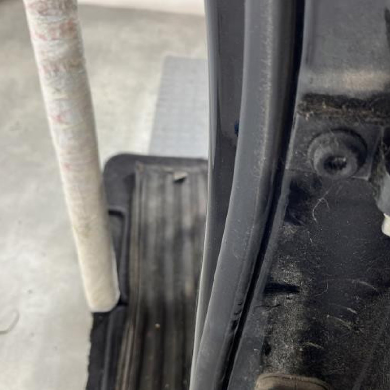 Porte arriere gauche VOLKSWAGEN POLO 4 Photo n°4