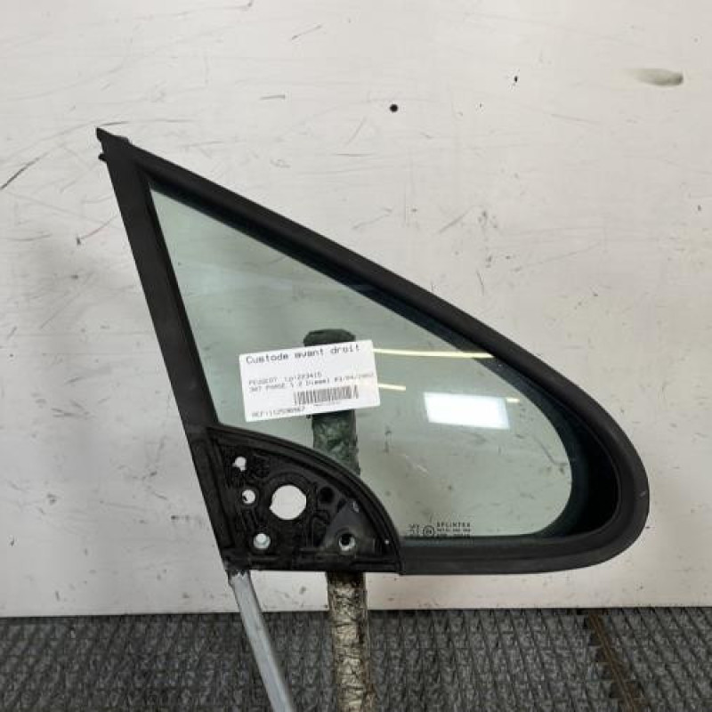 Custode avant droit (porte) PEUGEOT 307 Photo n°1