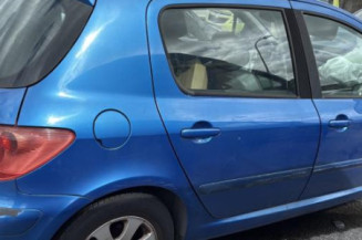 Custode avant droit (porte) PEUGEOT 307