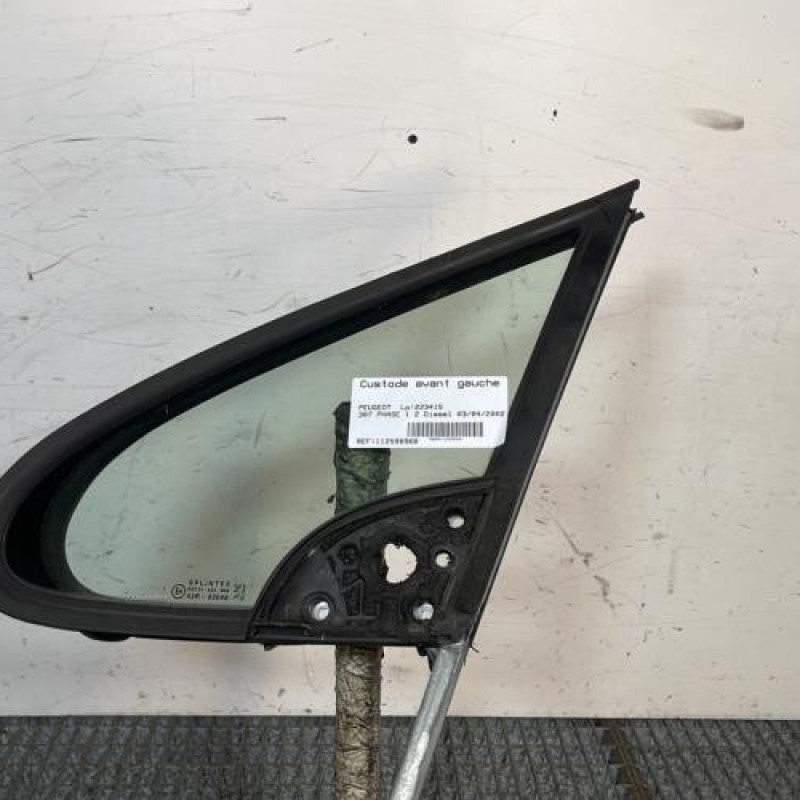 Custode avant gauche (porte) PEUGEOT 307 Photo n°1