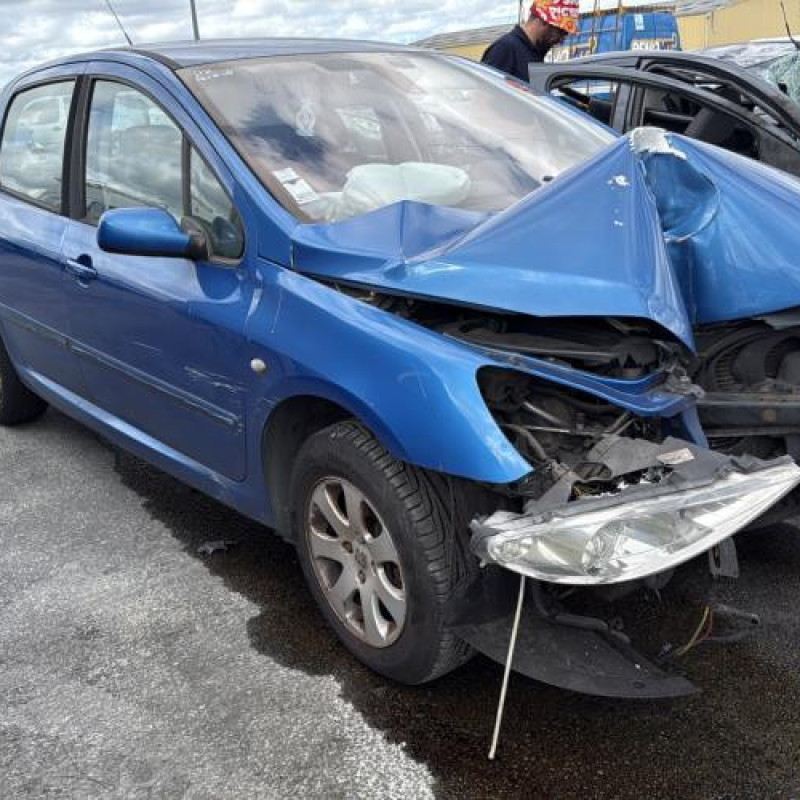 Custode avant gauche (porte) PEUGEOT 307 Photo n°5