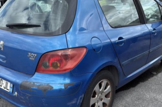 Vitre arriere droit PEUGEOT 307
