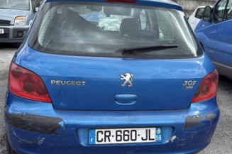 Custode avant gauche (porte) PEUGEOT 307