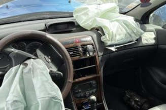 Vitre arriere gauche PEUGEOT 307