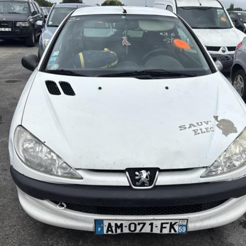 Feu arriere principal droit (feux) PEUGEOT 206 Photo n°11