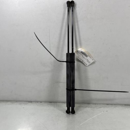 Verin de coffre PEUGEOT 207 Photo n°1