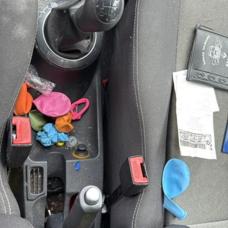 Poignee porte arriere droit RENAULT GRAND MODUS Photo n°18