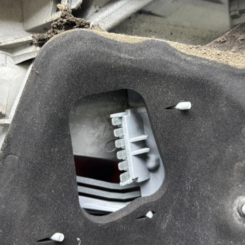 Feu arriere principal gauche (feux) OPEL SIGNUM Photo n°6