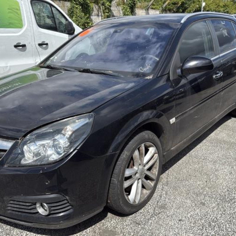 Feu arriere principal gauche (feux) OPEL SIGNUM Photo n°8